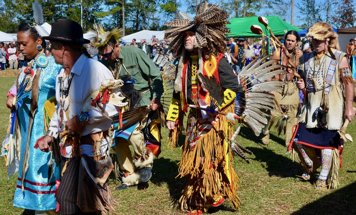 Celebrating Native American Heritage Month Horry County Democratic Party